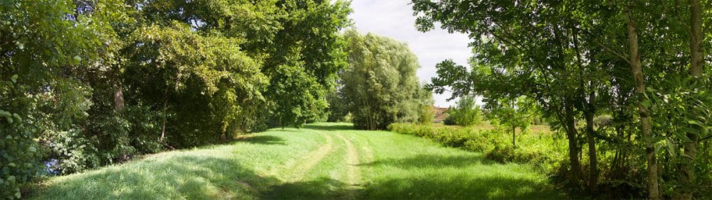 Terrain à aménager à Sarre-Union