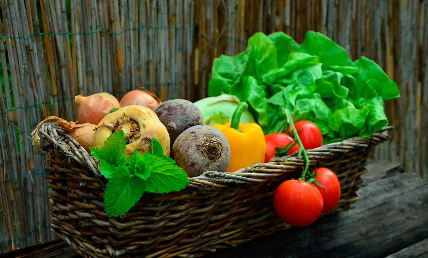 Panier avec des légumes pour le blog de j com jardin