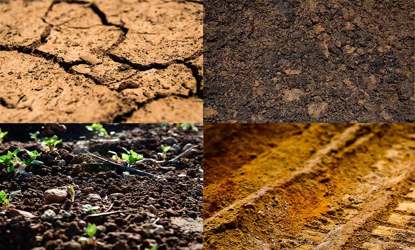 Reconnaître sa terre - différentes terres