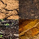 Reconnaître sa terre - différentes terres