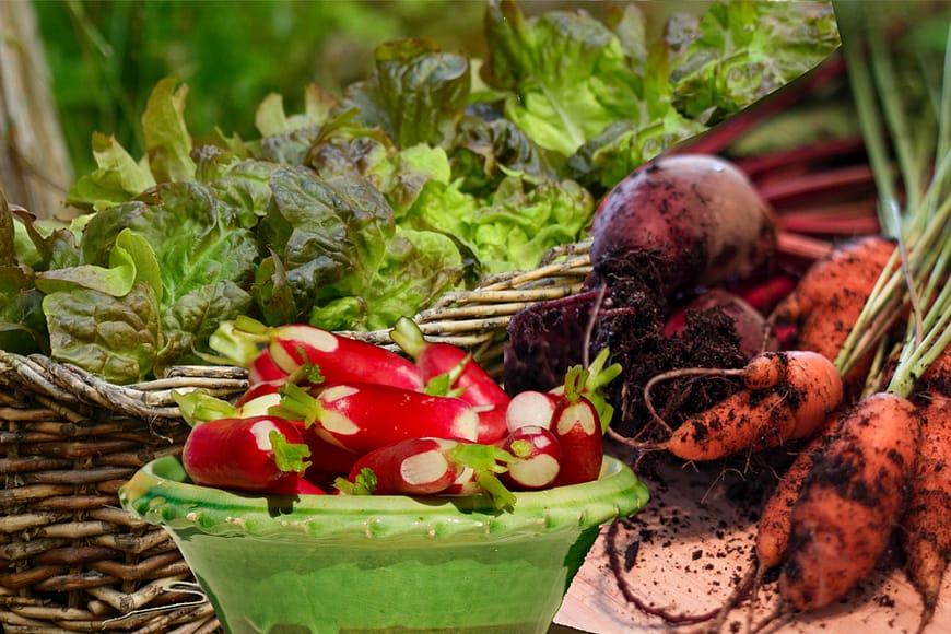 jcomjardin-legumes-balcon exposition de légumes divers pouvant pousser sur balcon