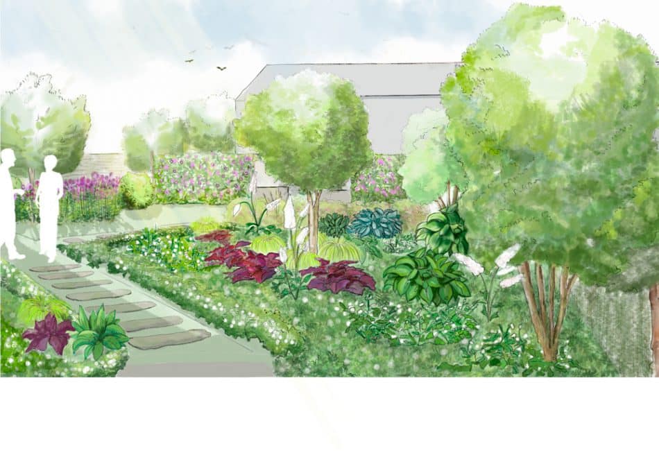 Visualisation de la proposition de l'aménagement d'un massif d'ombre