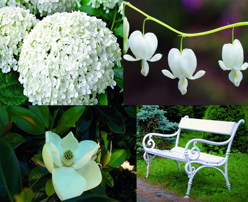 jcomjardin-jardin-monochrome Styles de jardins - jardin avec une dominante de blanc - monochrome