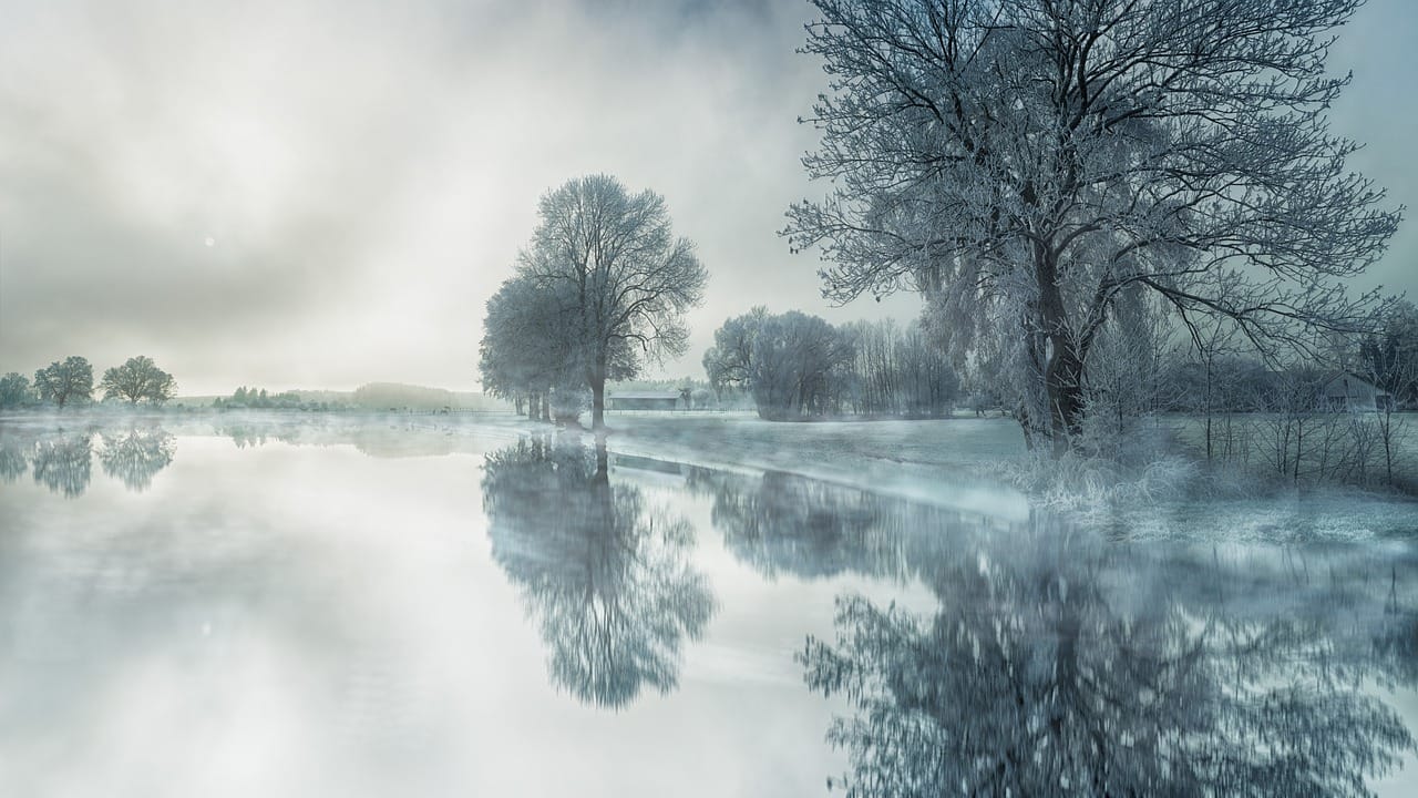 Paysage d'hiver magique, sous un manteau de givre, avec un ciel couvert de brume